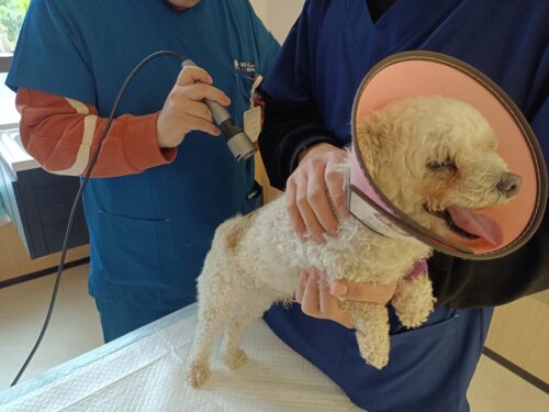 filter: 0; jpegRotation: 0; fileterIntensity: 0.000000; filterMask: 0; module:1facing:0; 
hw-remosaic: 0; 
touch: (-1.0, -1.0); 
modeInfo: ; 
sceneMode: Night; 
cct_value: 5625; 
AI_Scene: (-1, -1); 
aec_lux: 51.0; 
hist255: 0.0; 
hist252~255: 0.0; 
hist0~15: 0.0;