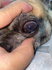 微信图片_20240909195546