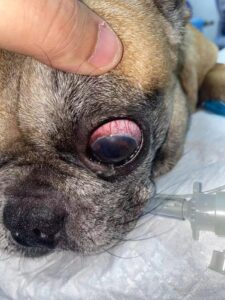 微信图片_20240909195550