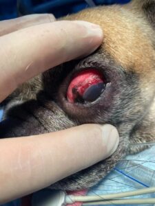 微信图片_20240909195558